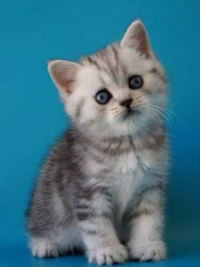 Новый проект (2)