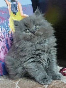 Новый проект (2)