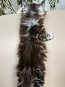 Новый проект (3)