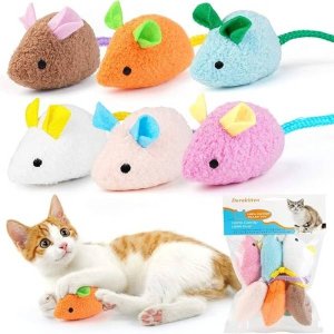 Catnip Toy