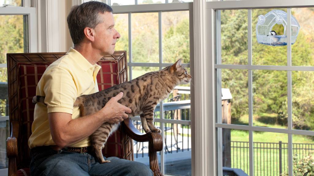 Celebrating a cat