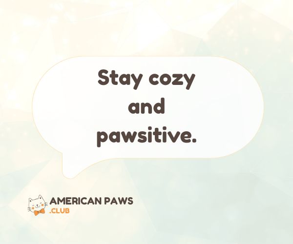 Cute Cat Puns