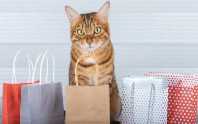40 Purrfect Gifts for Cat Lovers and Owners