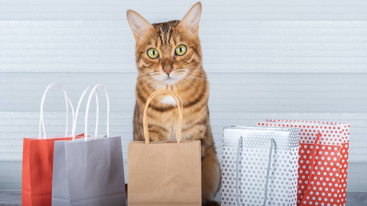 Gifts for Cat Lovers