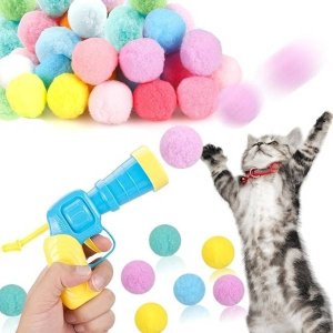 Interactive Toy for Cat and Human