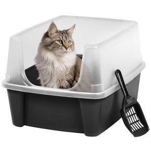 Litter Box