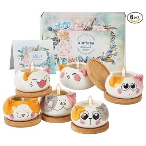Scented Candle with Cat-Inspired Packaging