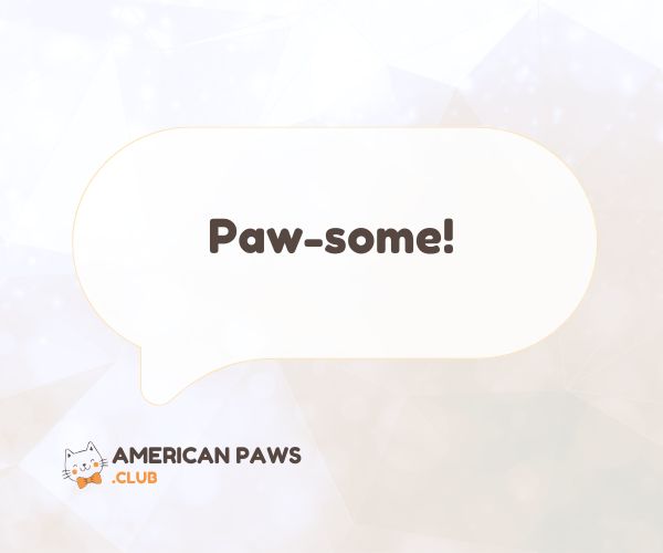 Short Cat Puns