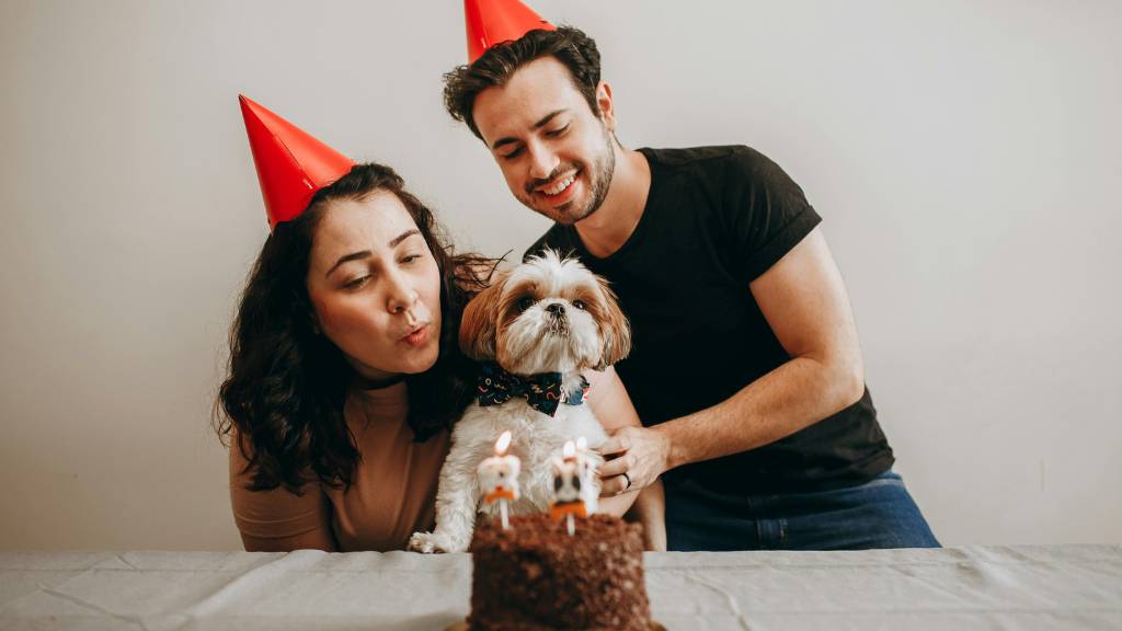celebrating dog birthday