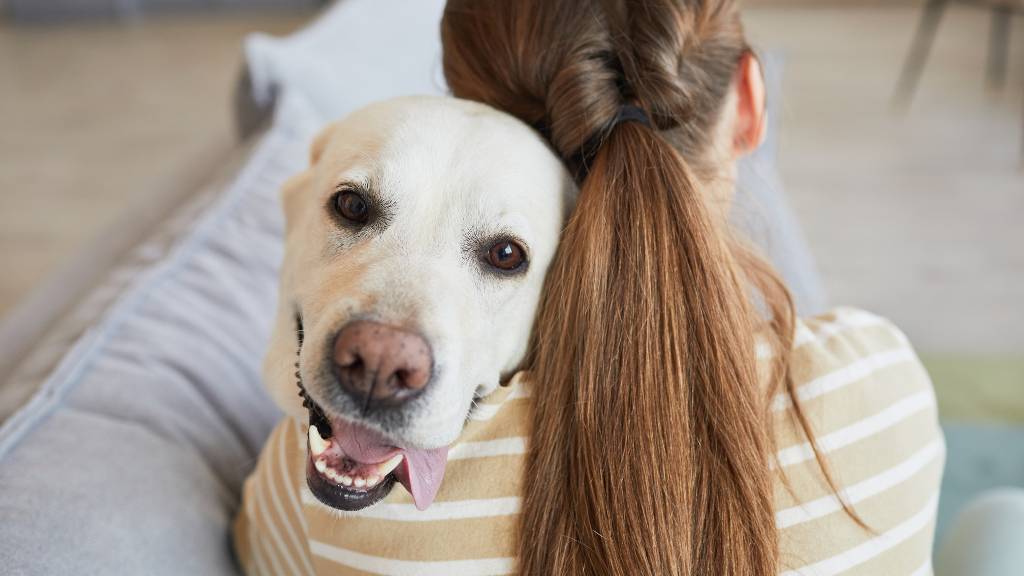 cuddling birthday dog