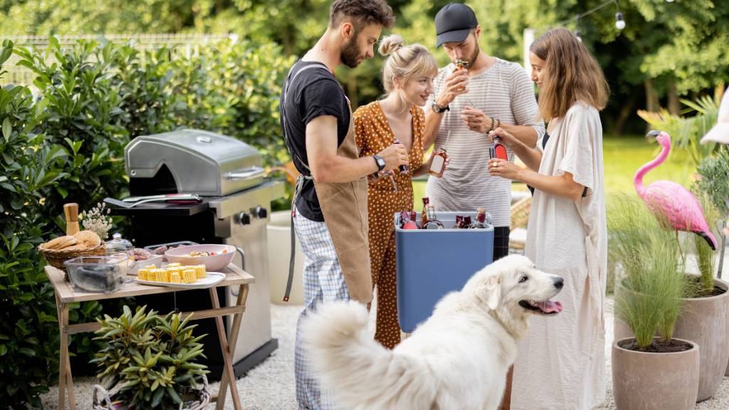 outdoor pet birthday party