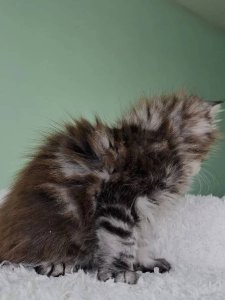 Новый проект (2)