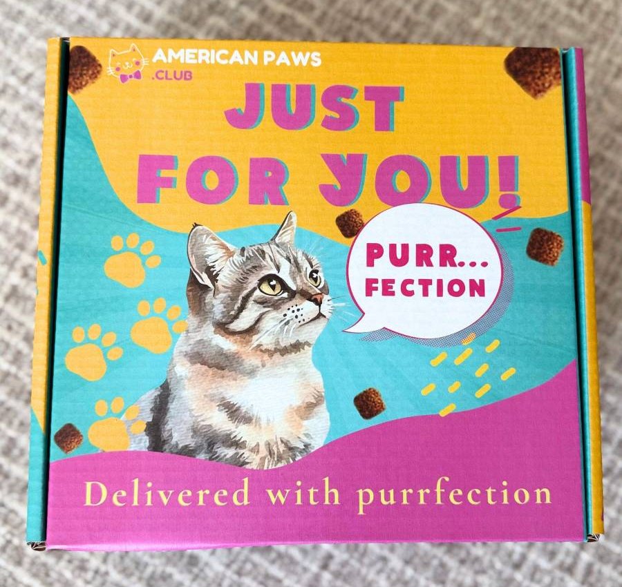 America Paws Club Box for Cats