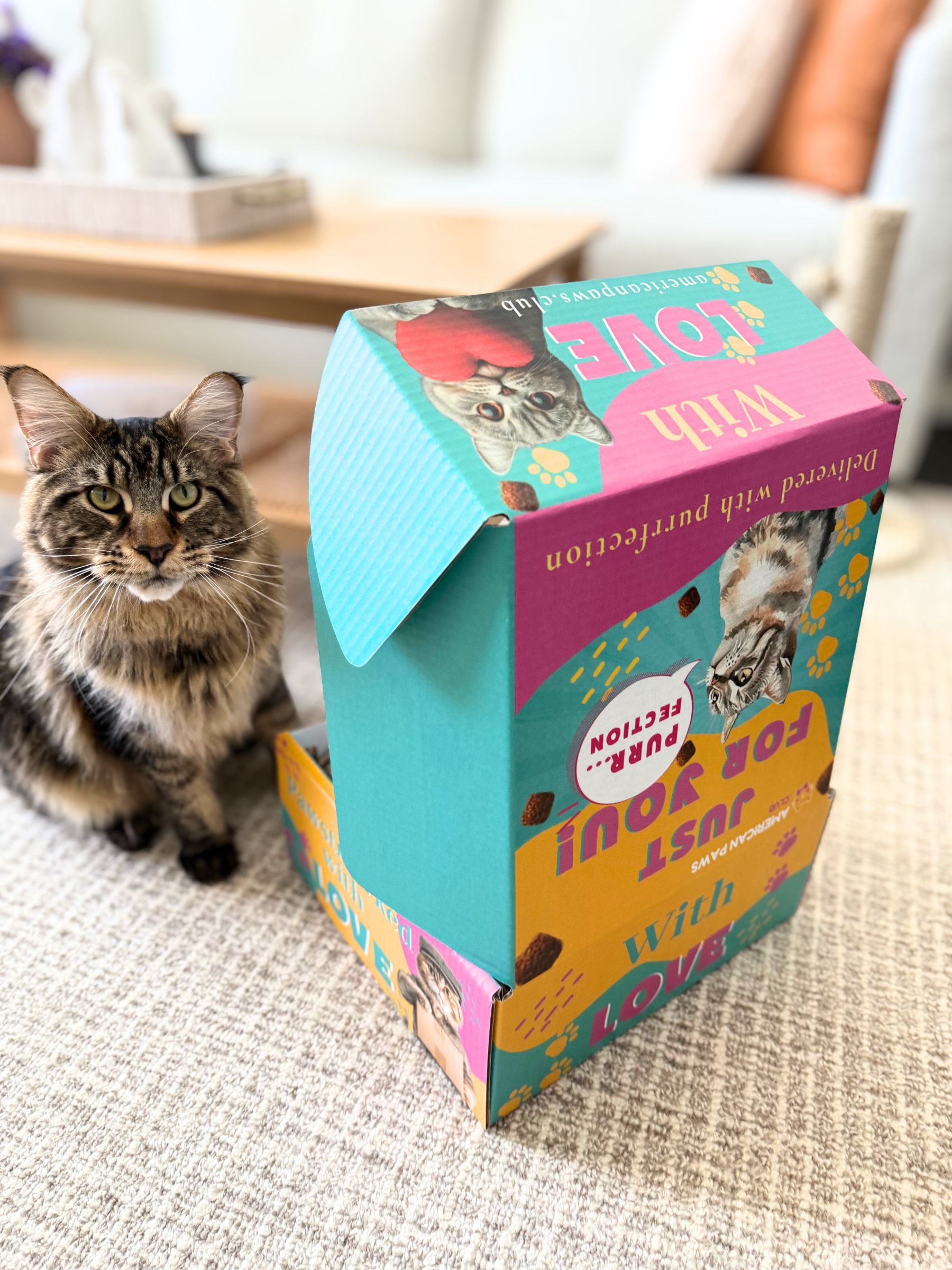 Subscription Box for Cats Subscription Box for Cats