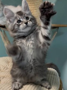 Новый проект (2)