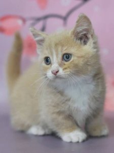 Новый проект (2)