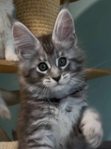 Новый проект (3)