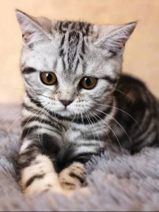 Новый проект (3)