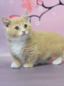 Новый проект (3)