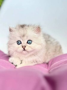 Новый проект (3)