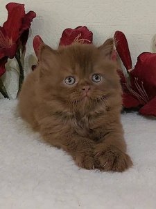 Новый проект (3)