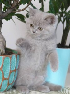 Новый проект (3)