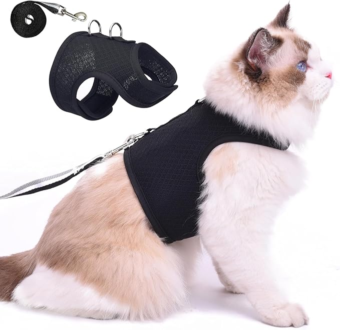 Cat Harness and Leash for Walking