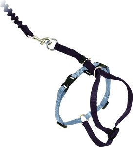 PetSafe Come with Me Kitty Harness
