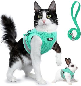 Supet Cat Harness and Leash Set