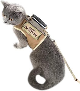 Tactical Cat Harness and Leash