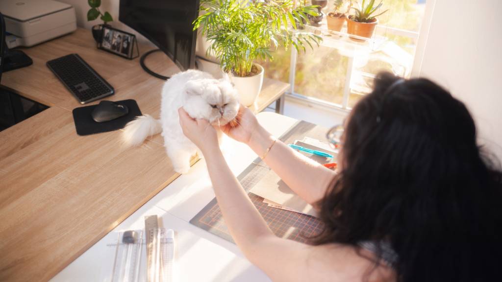 emotional support cat at desk