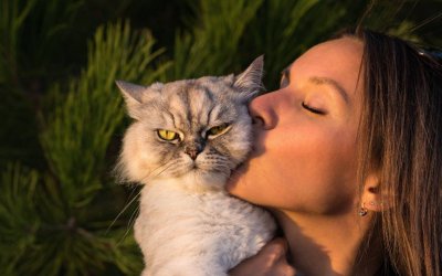 Do Cats Like Kisses? + 7 Other Ways They Show You Love