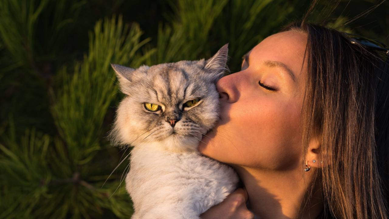 woman kissing grumpy cat