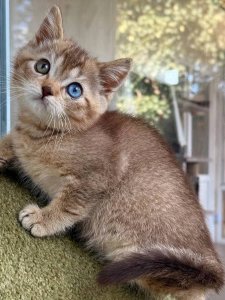 Новый проект (2)