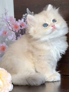 Новый проект (2)