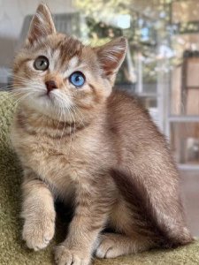 Новый проект (3)