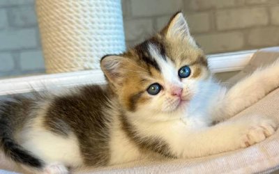 Luna