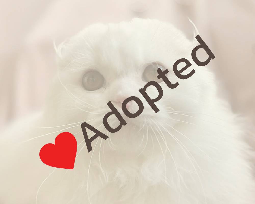 luxury picnic company - Picnic Makers