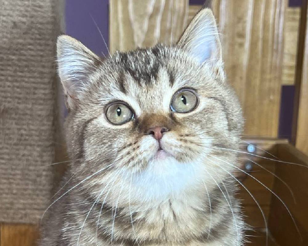 luxury picnic company - Picnic Makers