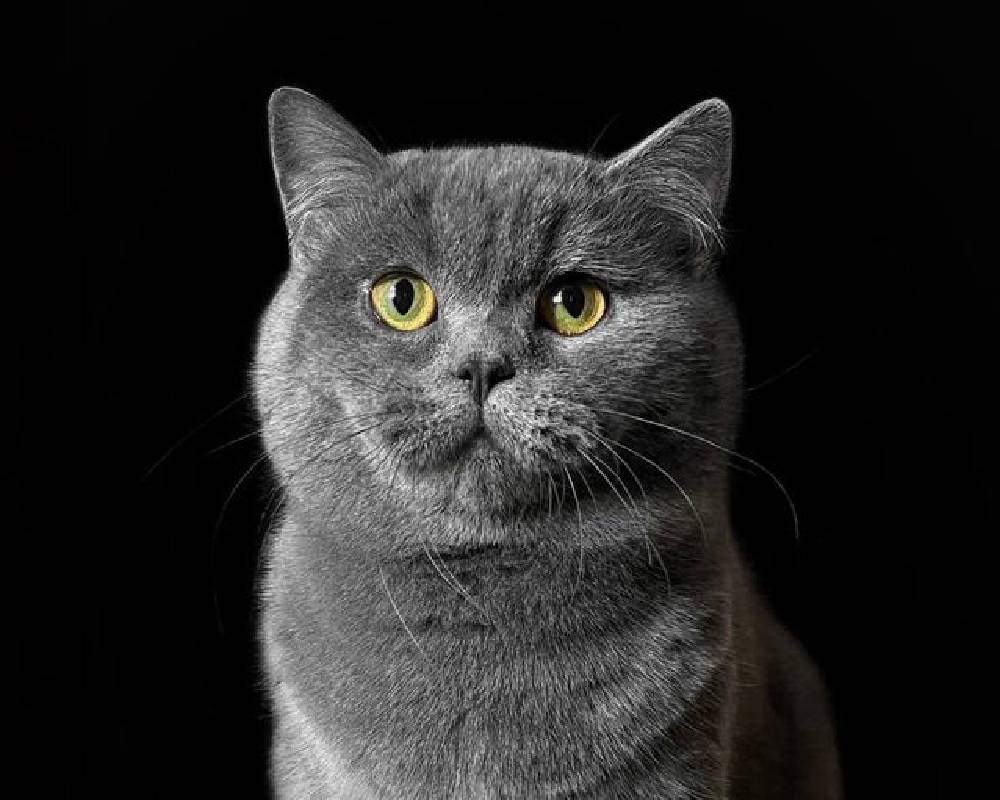 luxury picnic company - Picnic Makers