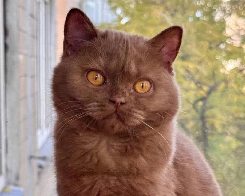 luxury picnic company - Picnic Makers