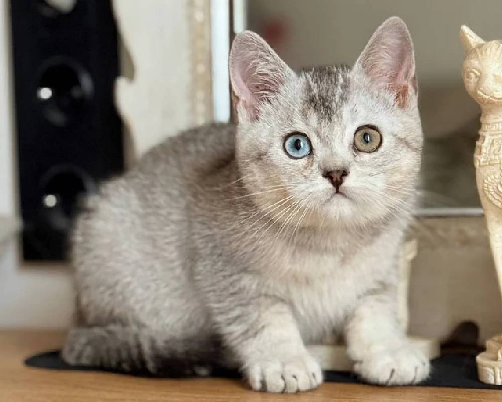 luxury picnic company - Picnic Makers