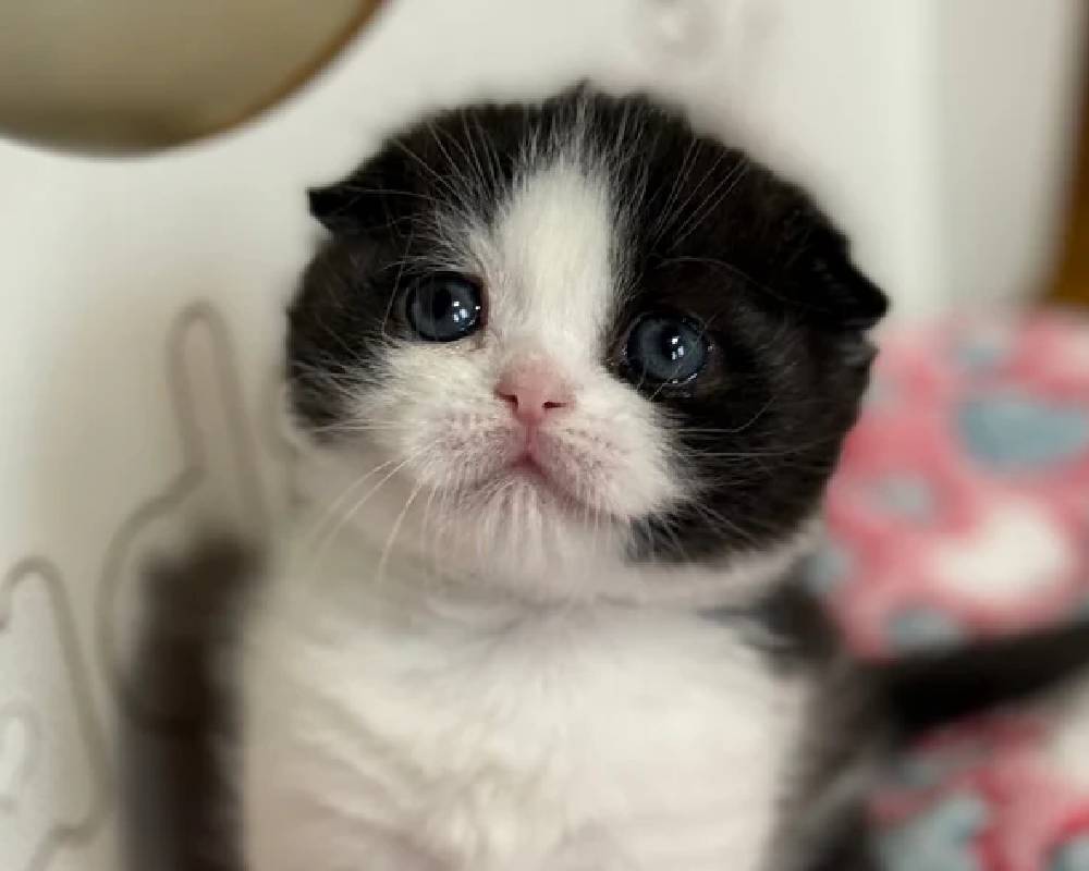 luxury picnic company - Picnic Makers