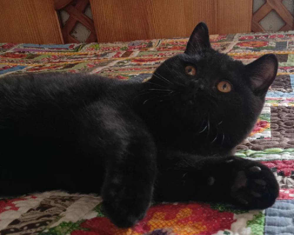 luxury picnic company - Picnic Makers