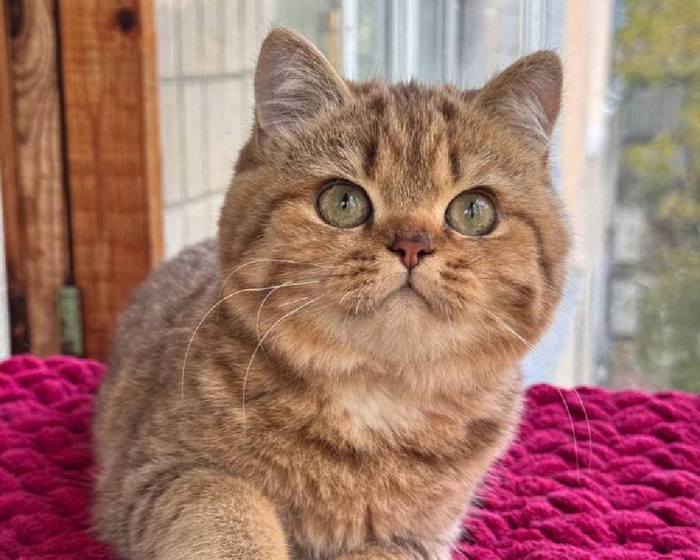 luxury picnic company - Picnic Makers