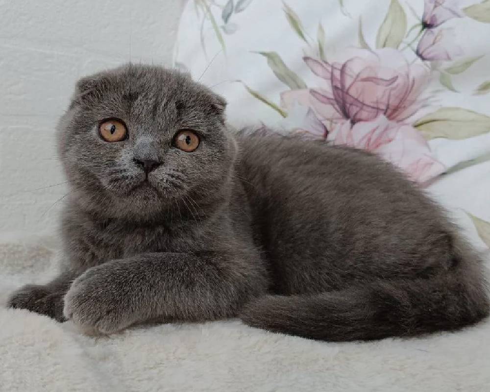 luxury picnic company - Picnic Makers