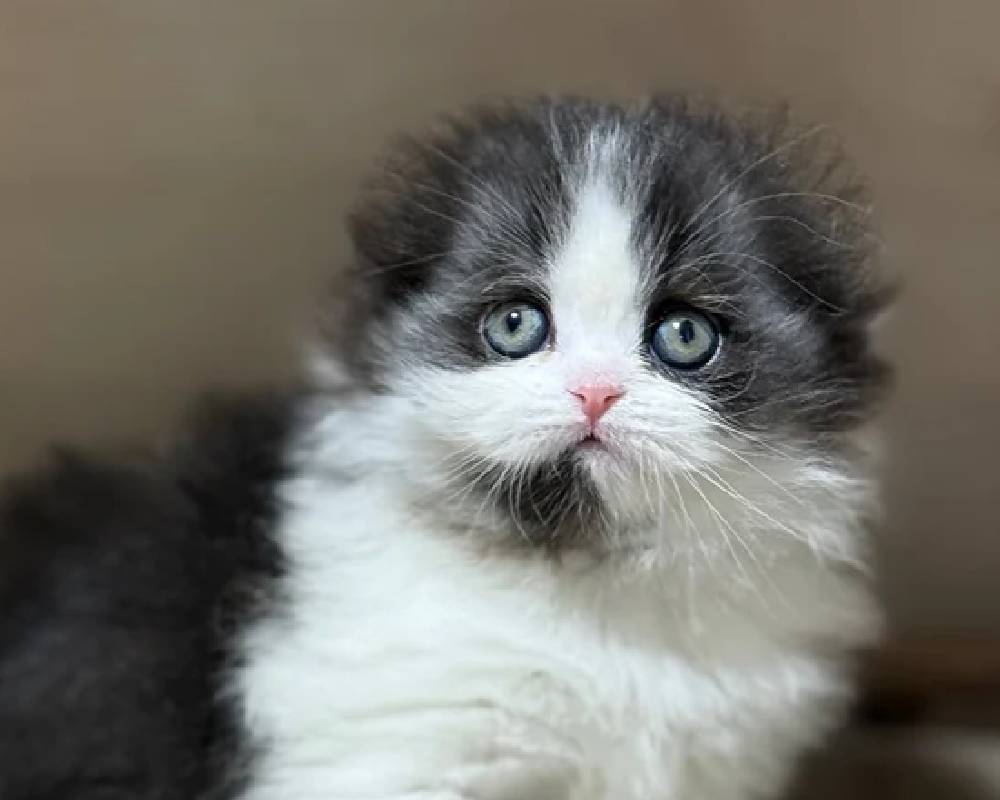 luxury picnic company - Picnic Makers