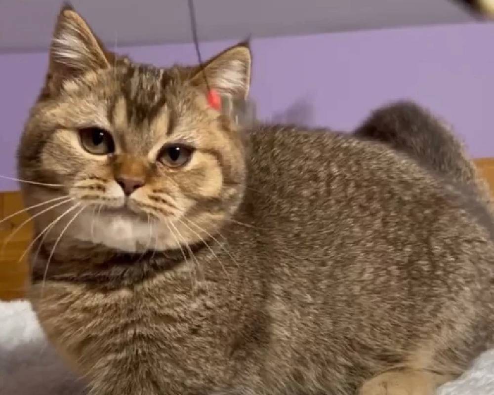 luxury picnic company - Picnic Makers