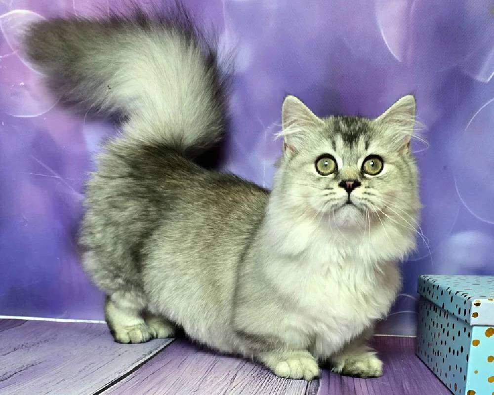 luxury picnic company - Picnic Makers