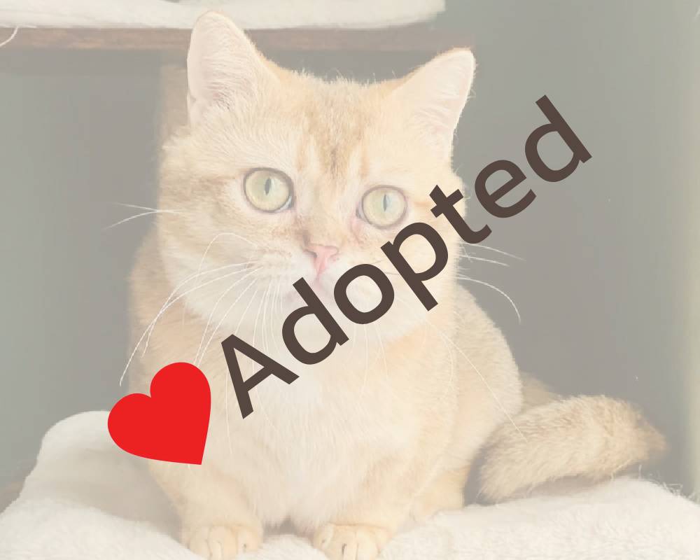 luxury picnic company - Picnic Makers